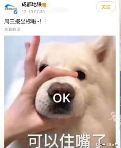  成都地铁内涵网友是狗让网友闭嘴,成都官方号被骂到关闭评论