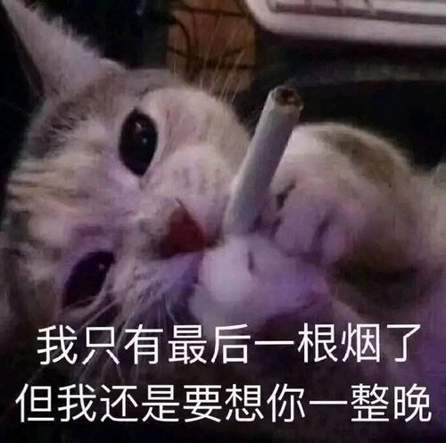  有没有表示碎碎念的表情包