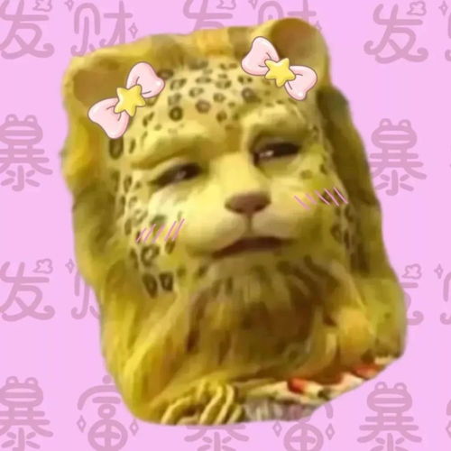  2022发财好运金钱豹头像合集