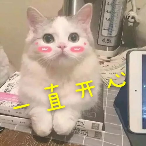  链表常见面试题