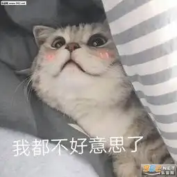 想吃小孩猫咪表情包寻短