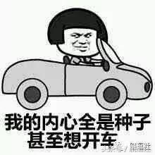 没有表情包图片开车