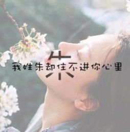  姓氏头像我姓余,没有未来,只有余生