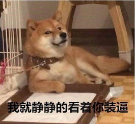  对不起,你的表情包被上帝带走了...