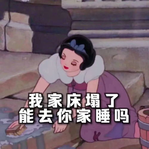  渣女姐姐常用表情包