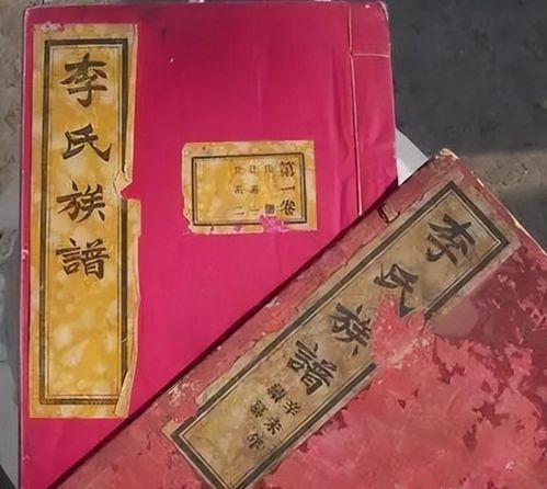  我国5600余个姓氏中,只有8个姓氏从未衰落,其中有你的姓氏吗