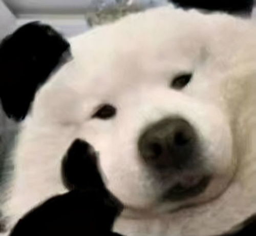  剑网三的江湖能有多离谱回归后发现直男师父的仇家竟是我师爹