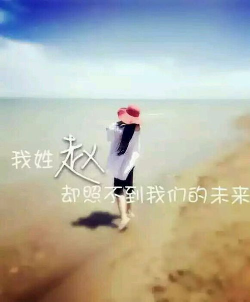  姓氏赵