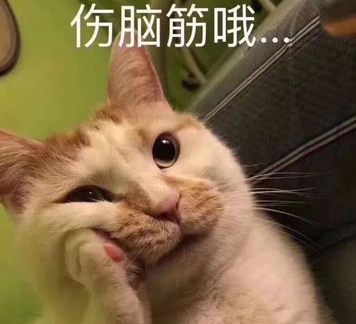  早餐又有好选择,这4款美食饱腹好吃,价格还很亲民,孩子也爱吃