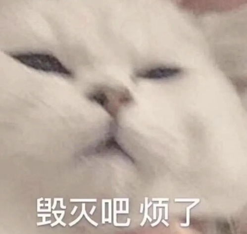  2021车市的冰与火一地鸡毛的用户运营