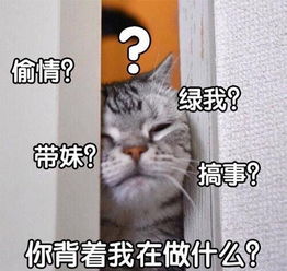  你男朋友又生气了,哄吗