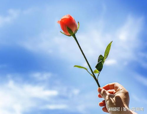  广东东莞,男子送花表白街头流浪女,女孩不会是骗我吧