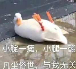  热热热,郑州气温居高不下,这些常识你更要知道