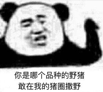  你有那些骚的一比的表情包