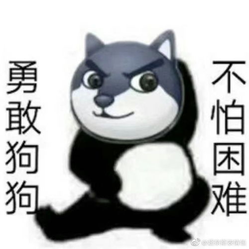  一本正经胡说的沙雕句子,幽默搞笑,活跃气氛