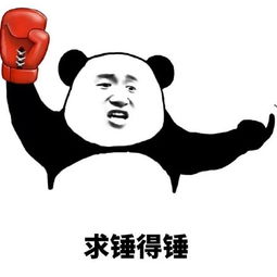  熊猫头金馆长小锤锤表情包