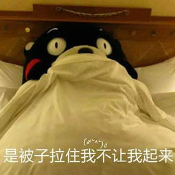  12星座赖床技术哪家强