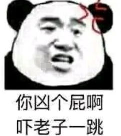  最近超火熊猫头表情包我现在很生气,不要吵我