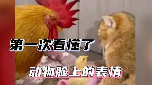  第一次看懂了动物脸上的表情,它转头那一下就差说人话了