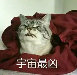  萌猫和胖达发火了,青面獠牙我生气起来自己都怕