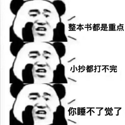  啊啊啊啊啊啊
