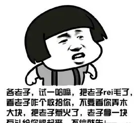  起点下载站每日更新一键转帖论坛ubb代码代码转换器