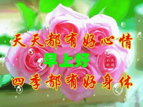  再忙,我也会记得微笑再累,我也会注意言行,早安