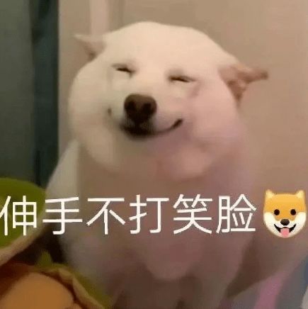  我可以做你的狗吗眼泪,喷了出来...