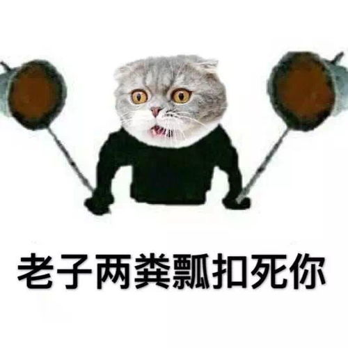  猫咪表情包第二波丨美丽的皮囊and有趣的灵魂,朕都有