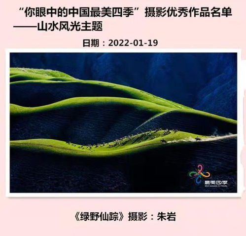  2022年我获奖图片背后的故事作者燕子考拉朱岩
