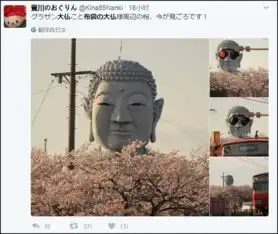  我佛慈悲且时髦墨镜大佛被网友做成表情包了
