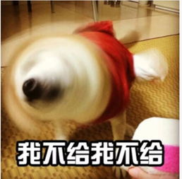  别解释,这就是你不讲理时的样子