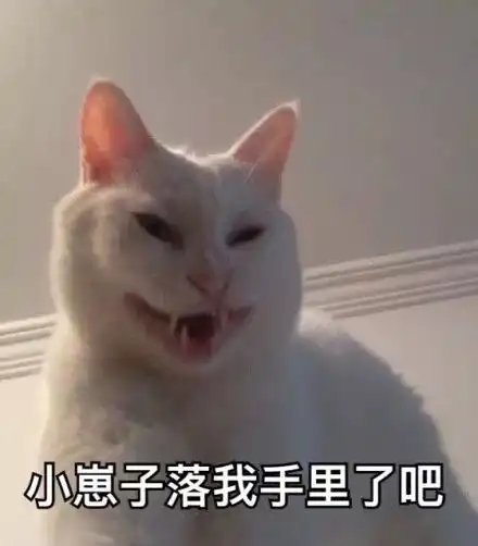  想把我家的猫纹在身上,可是它不配丑也