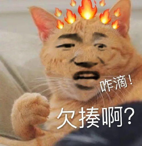  今日份热门表情你又不跟我睡管我几点睡