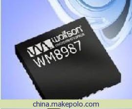  wm8988,wm8731,wm8766,wm9713,wm9715高清图片高清大图