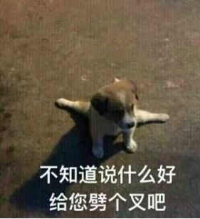 讨饭微信表情包搞笑七夕