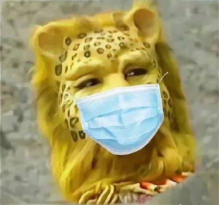 头像戴口罩双采