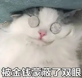  超凶猫咪屈服于金钱魅力,怎么摸都不反抗,猫给钱就行
