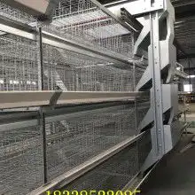  蛋鸡笼价格蛋鸡笼公司图片视频