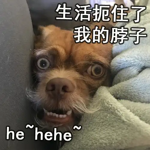  搞笑表情包一只与权利的游戏中小恶魔撞脸的狗狗,要取代了小恶魔了