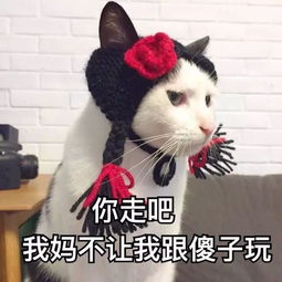  最火抖音表情包你走吧,我妈不让我跟傻子玩