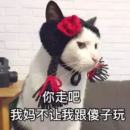  最火抖音表情包你走吧,我妈不让我跟傻子玩