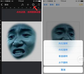  收藏最全的表情包制作教程,微信聊天你最棒有用功