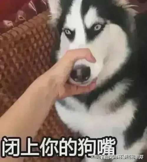 动漫吧唧嘴的表情包龇牙