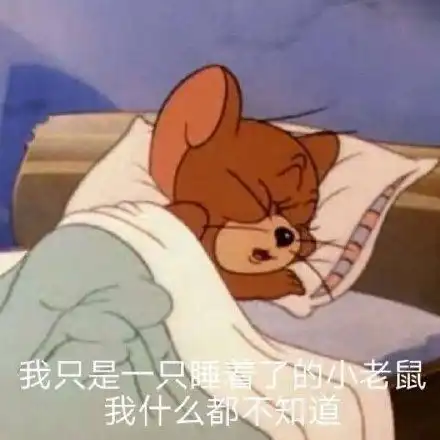 那我不要了表情包猫和老