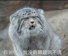  近视的都看看你说什么我没带眼镜听不清丨趣图