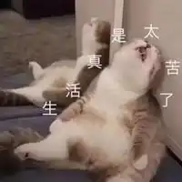  最闪的表情包