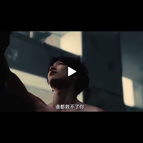  bf失恋疗伤选择失忆vs回忆最伤人vs可不可以抖音快手最火伤感女声弹鼓串烧收藏会员列表