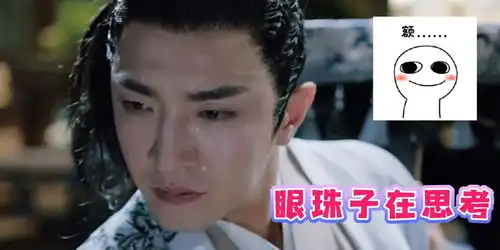  这个演员是不会控制面部表情吗打戏哭戏耐人寻味