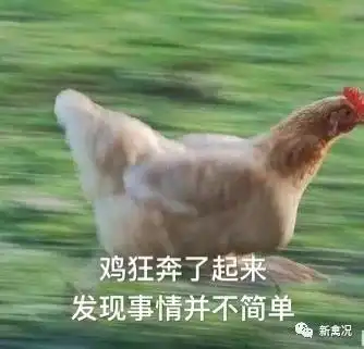  端午鸡价上涨后,本周不太乐观了